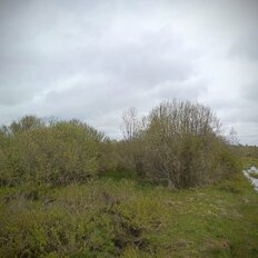 12 соток, участок - изображение 4