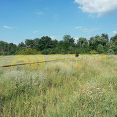 1,1 га, участок - изображение 5