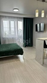 29,2 м², квартира-студия 35 000 ₽ в месяц - изображение 89