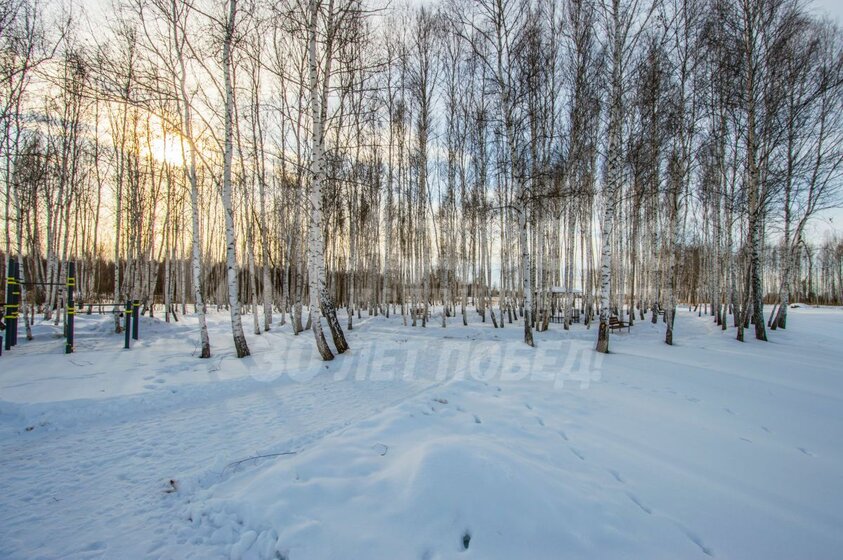 6 соток, участок 1 280 000 ₽ - изображение 34