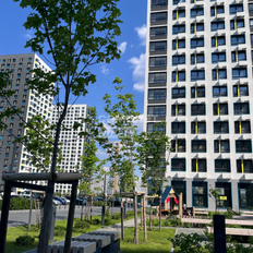 Квартира 50,8 м², 2-комнатная - изображение 1