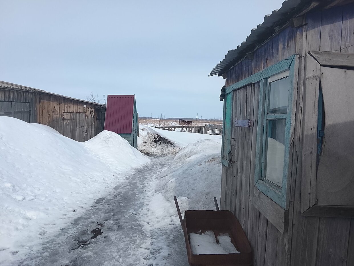 Квартира 1-комн. 31 м² в посёлок Королёвский — фото 5