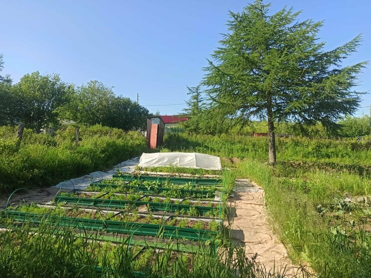 63,5 м² дом, 10 соток участок 7 800 000 ₽ - изображение 56