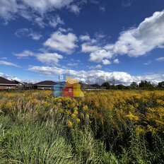 8 соток, участок - изображение 5