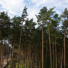 Квартира 29 м², студия - изображение 5