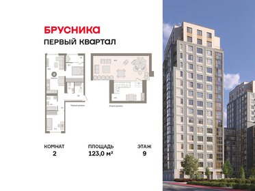 Квартира 123 м², 2-комнатная - изображение 1