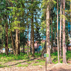 5,3 сотки, участок - изображение 2