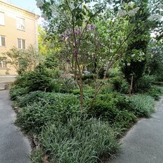 Квартира 82 м², 3-комнатная - изображение 5
