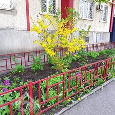 Квартира 66 м², 3-комнатная - изображение 1