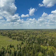 12 соток, участок - изображение 4