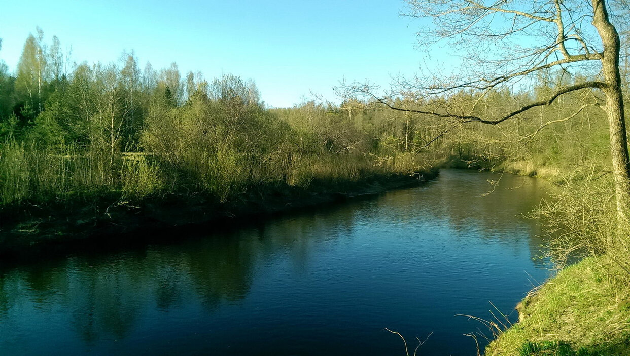 Дом 56 м² в СНТ Радуга — фото 18 из 18