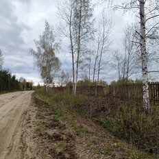 3,1 га, участок коммерческого назначения - изображение 4