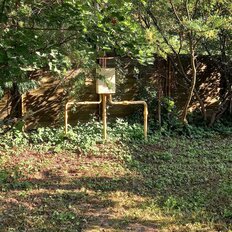 24,5 сотки, участок - изображение 5