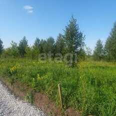 10,9 сотки, участок - изображение 2