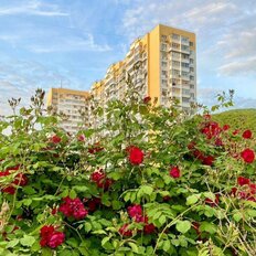 Квартира 74 м², 3-комнатная - изображение 1