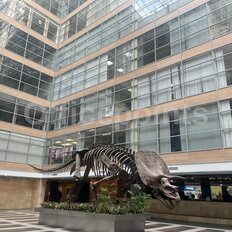 440 м², офис - изображение 3