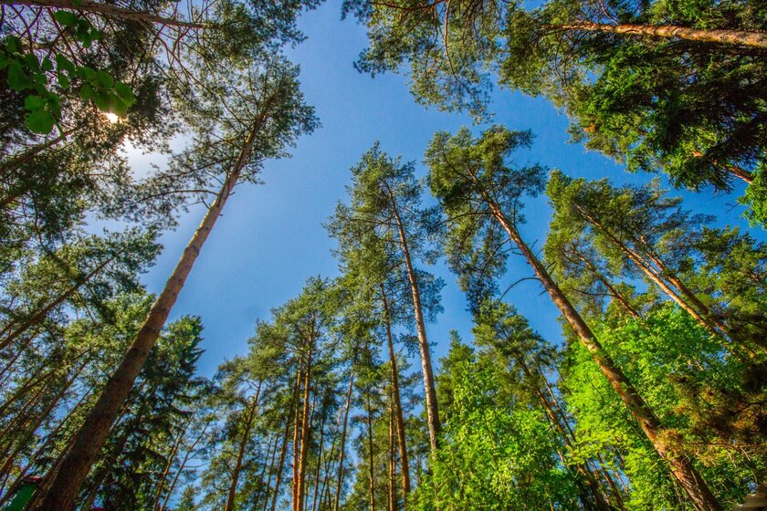 7,8 сотки, участок 1 410 000 ₽ - изображение 33