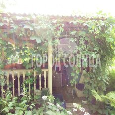 дом + 6 соток, участок - изображение 5