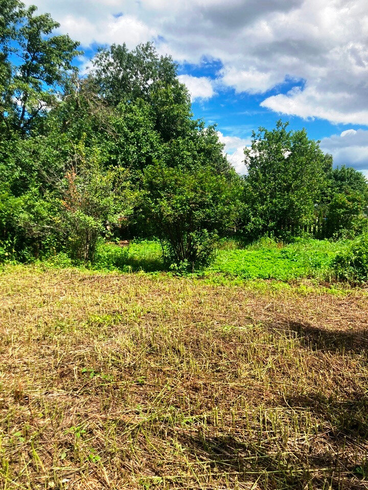 Дом 20 м² в Кольчугино — фото 7 из 11