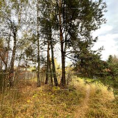 7,6 сотки, участок - изображение 3