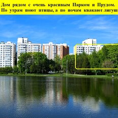 Квартира 46 м², 2-комнатная - изображение 1