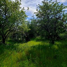 15 соток, участок - изображение 1