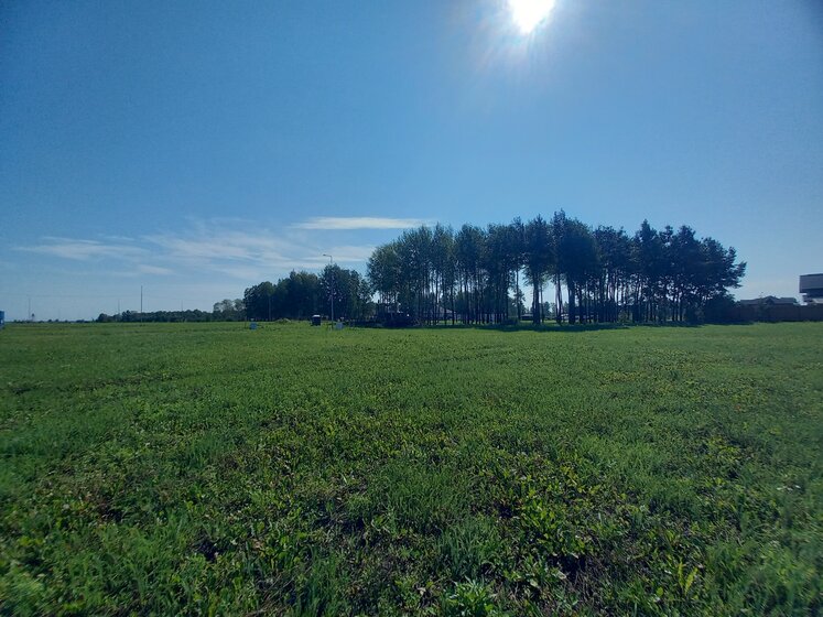 20 соток, участок 310 000 ₽ - изображение 13