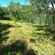 16 соток, участок - изображение 2