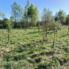 6,7 га, участок - изображение 5