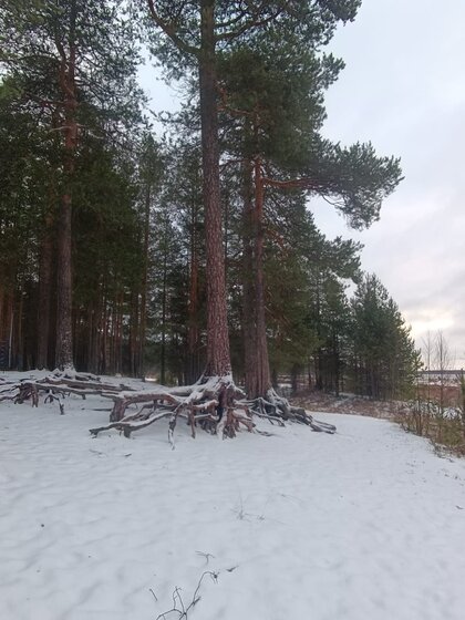 35 м² дом, 15 соток участок 9 000 ₽ в сутки - изображение 55