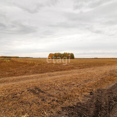 4,3 га, участок коммерческого назначения - изображение 3