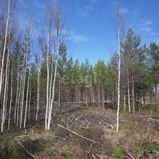 9 соток, участок - изображение 1