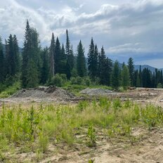 90 соток, участок - изображение 2