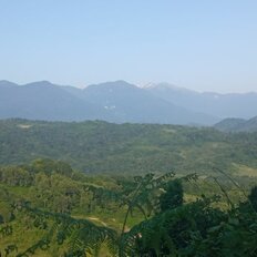 14 соток, участок - изображение 2