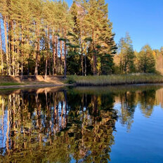 Квартира 32 м², 1-комнатная - изображение 1