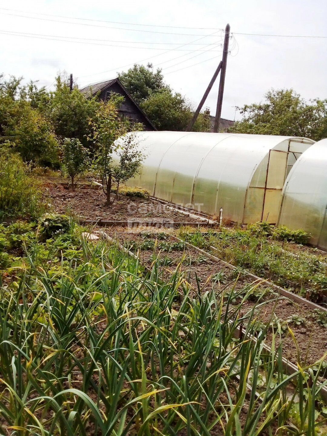 Дом 2-комн. 30 м² в деревня Игнатово — фото 7 из 9