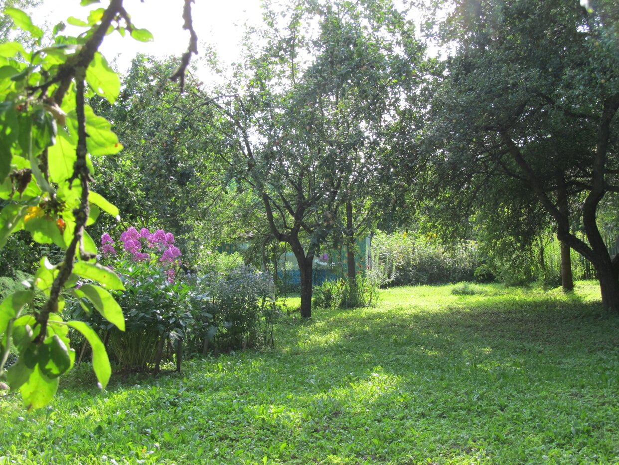 Дом 50 м² в Псковская область — фото 7 из 12