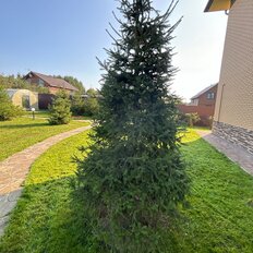 дом + 15 соток, участок - изображение 5
