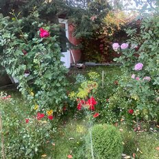 дом + 7 соток, участок - изображение 4