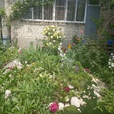 Квартира 50,5 м², 2-комнатная - изображение 2