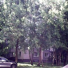 Квартира 35,1 м², 1-комнатная - изображение 2