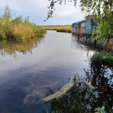 дом + 8 соток, участок - изображение 2