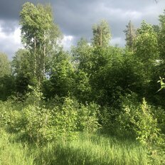 30 соток, участок - изображение 4