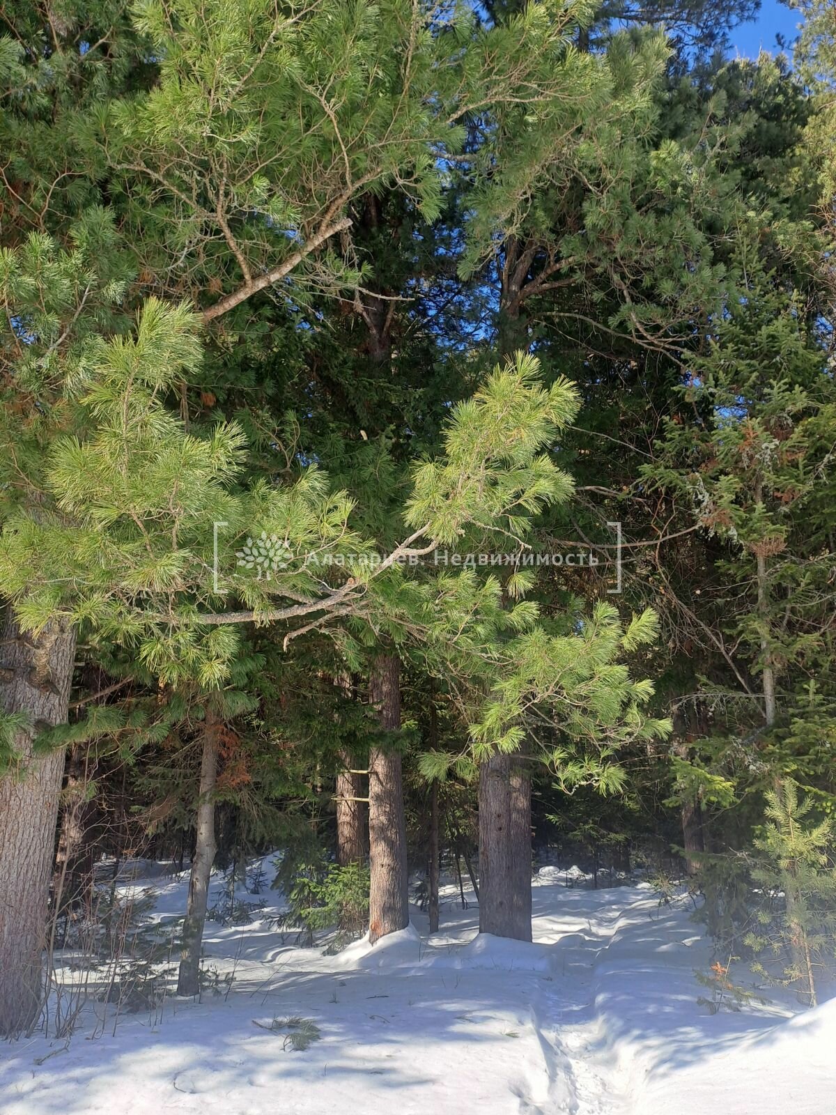 Дом 2-комн. 36 м² в СНТ Водник — фото 9 из 11