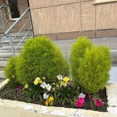 Квартира 100,1 м², 3-комнатная - изображение 2