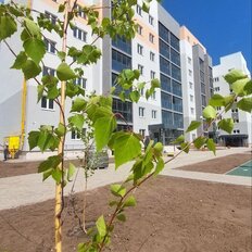 Квартира 45,3 м², 1-комнатная - изображение 3