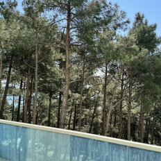 Квартира 88,1 м², студия - изображение 4