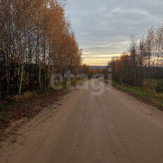 15 соток, участок - изображение 3