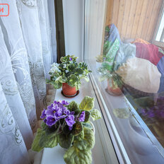 Квартира 35,3 м², 1-комнатная - изображение 3