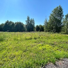 6 соток, участок - изображение 2